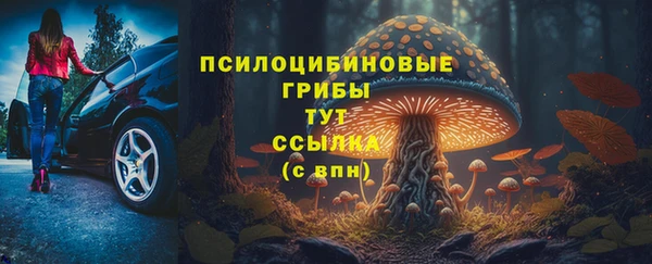 круглые Белокуриха