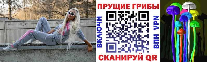 Псилоцибиновые грибы Psilocybine cubensis  hydra онион  Надым 